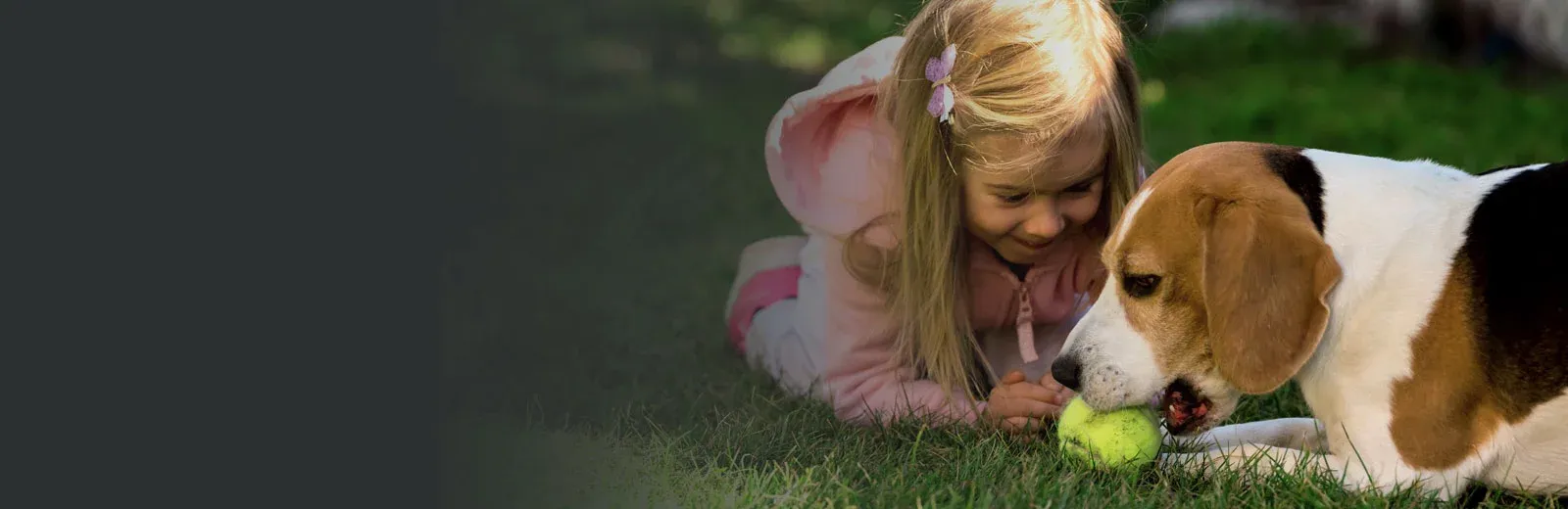 Girl playing with dog in tick free yard