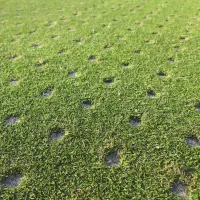lawn with aeration holes