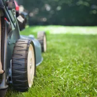 lawn mower on green yard
