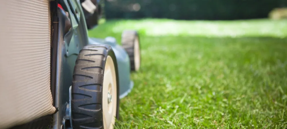 lawn mower on green yard
