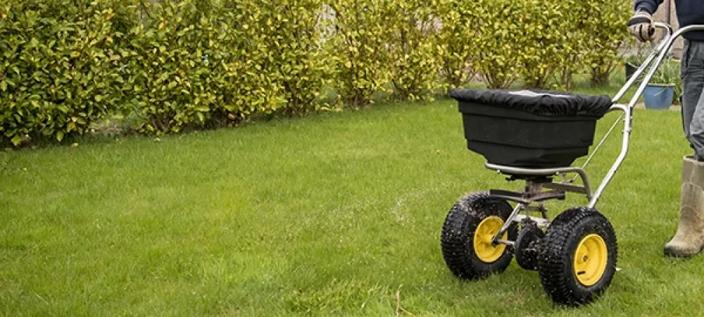 Fertilizing is an important part of Ohio lawn care